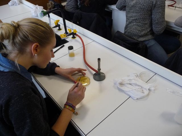 P1080803.JPG
