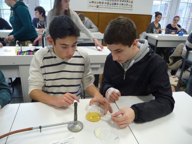 P1080817.JPG