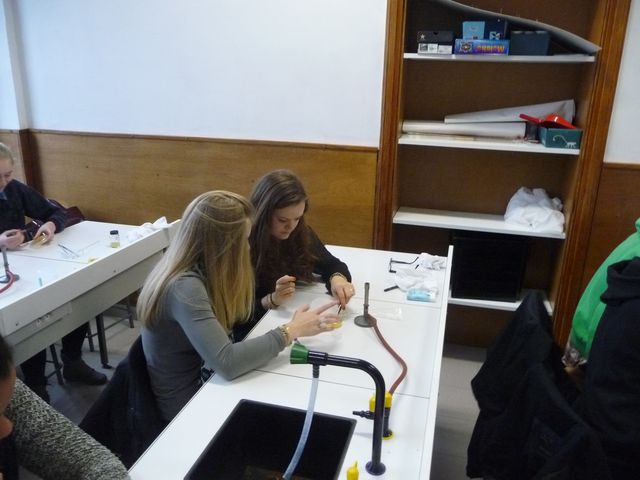 P1080821.JPG