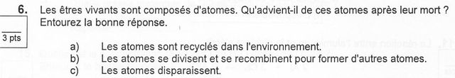 q06.JPG