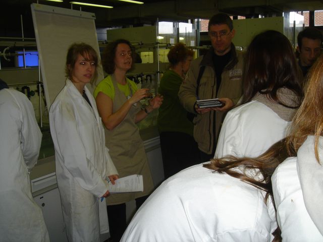 DSC02456.JPG