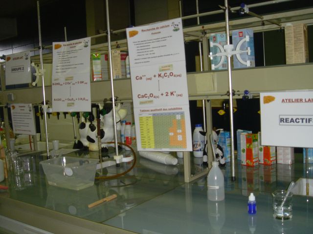 DSC02500.JPG