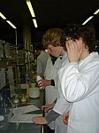 DSC02452.JPG