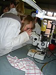 DSC02461.JPG
