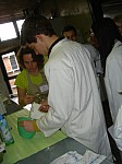 DSC02489.JPG