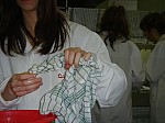 DSC02492.JPG