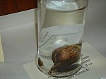 DSC02496.JPG