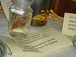 DSC02498.JPG