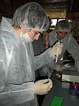 DSCN2741.JPG