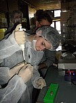 DSCN2742.JPG