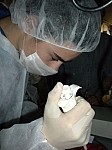 DSCN2747.JPG