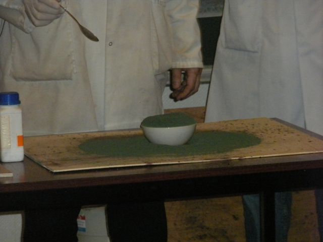 DSCN2837.JPG