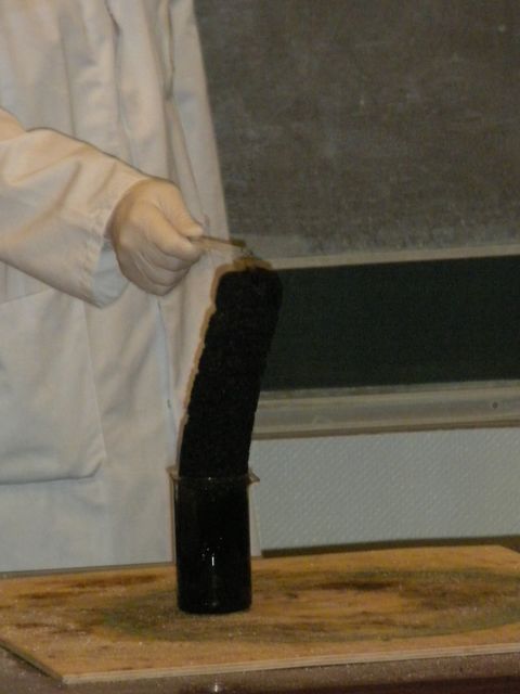 DSCN2842.JPG